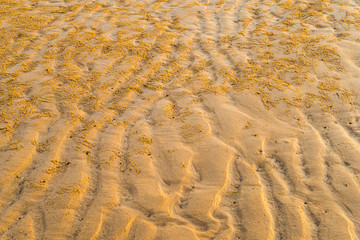 Beautiful sea mornings30