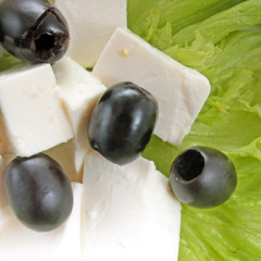 Lettuce and feta on the white background