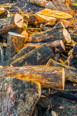 Materials Preparation Manufacturing.8