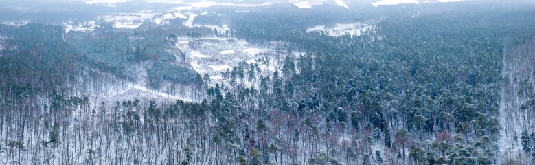Winter drone landscape with snow covered forest
