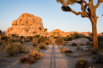 Joshua Tree National Park