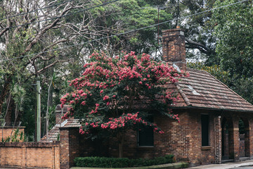 old house with flowers