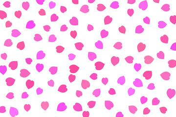 Cherry blossom petals. 桜の花びら、桜吹雪