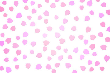 Cherry blossom petals. 桜の花びら、桜吹雪