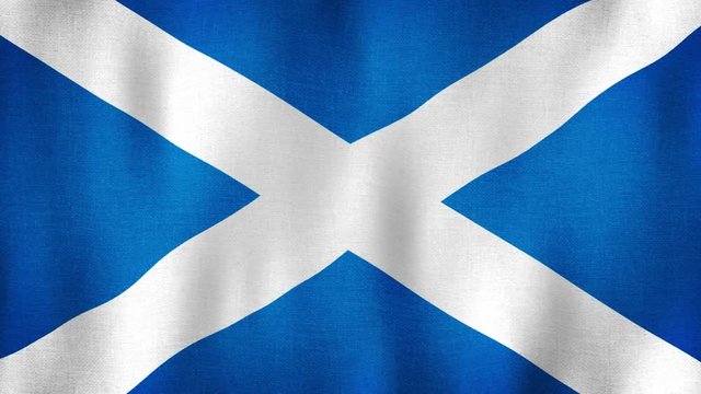 Scotland flag waving in the wind. Closeup in 4k of realistic Scottish flag with highly detailed fabric texture