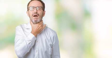 Handsome middle age elegant senior business man wearing glasses over isolated background Touching painful neck, sore throat for flu, clod and infection