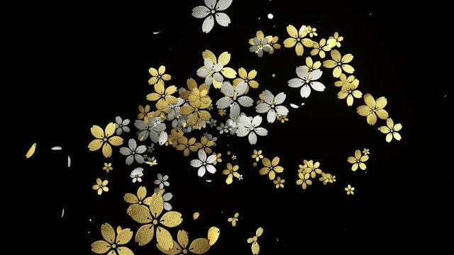 金銀の桜の軌跡_1