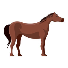 Fototapeta na wymiar Isolated cute horse image. Vector illustration design
