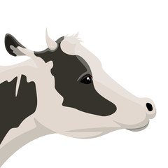 Isolated cow head image. Vector illustration design
