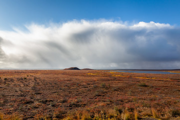 Tundra scene from Canadian Arctic in the fall