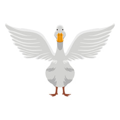 Front view of a duck. Farm animal. Vector illustration design
