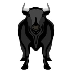 Front view of a bull. Farm animal. Vector illustration design