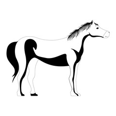Fototapeta na wymiar Isolated cute horse silhouette. Vector illustration design