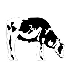 Isolated cute cow silhouette. Vector illustration design