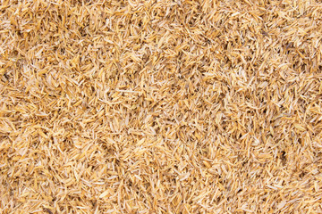 Rice hulls texture background. Rice hulls as fuel.