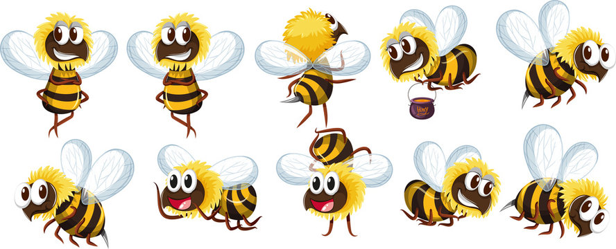 Set of bee character