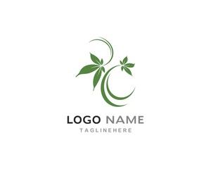 Obraz premium green leaf logo vector