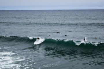 Fototapeta premium Surfer