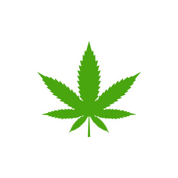 cannabis leaf isolated on white background. marijuana leaf symbol. Cannabis icon, Weed icon vector