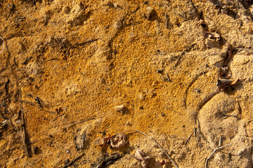 texture of land