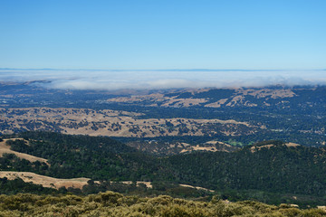Fototapeta premium Mountain landscape in Mount Diablo State Park, Northern California, USA