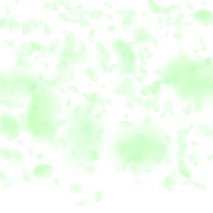 Fototapeta premium Green flower petals falling down. Excellent romant