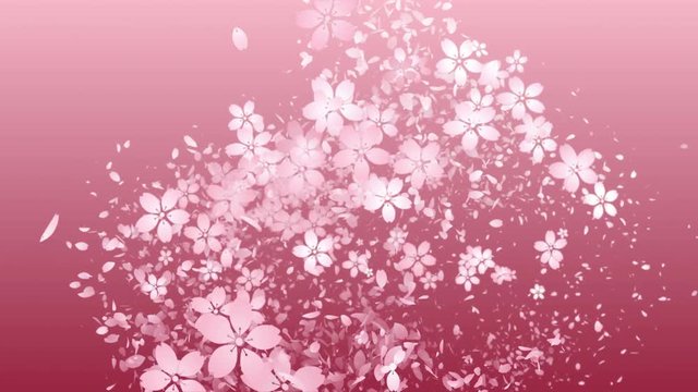 桜と花びらの軌跡_グラデーション背景