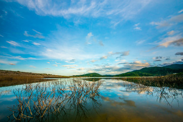 At the rural water basin.8