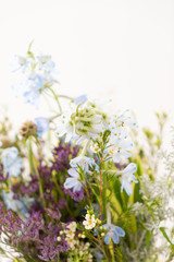 nice spring flower bouquet on the white background