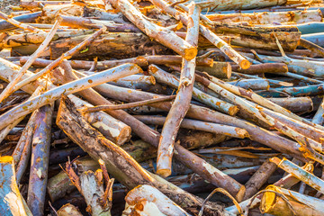 Materials Preparation Manufacturing.10