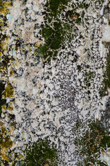 Fototapeta premium Abstract old cement construction texture