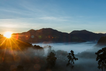 Landscapes, views,Strawberry farm, In chiang mai, Thailand.