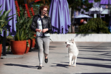 Fototapeta premium A grey Siberian husky female dog is running side by side to a young caucasian blond haired girl. A woman wears black glasses, grey jeans, black jacket. Purple sunshades and ficus in orange pots.