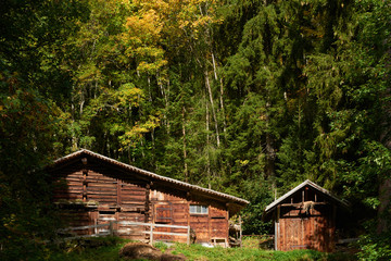 Old wooden barn in the beautiful autumn forest in the Schengen village in Switzerland.