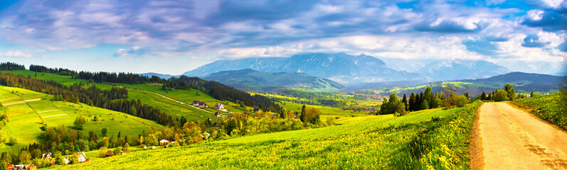 Green dandelion spring meadow on hills
