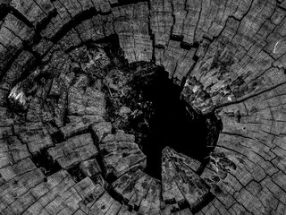 Timber in nature, Background of dry teak logs stacked up on top of each other in a pile.