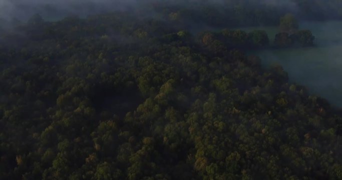 Top down aerial shot of dense Autumnal woodland, with thick fog and a pan up reveal of the horizon. Shot at Dering woods, Kent, UK