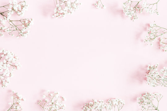 Fototapeta Flowers composition. Gypsophila flowers on pastel pink background. Flat lay, top view, copy space