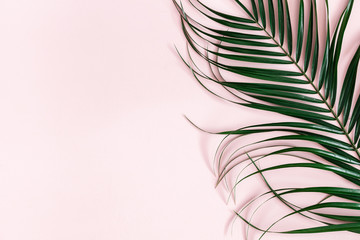 Summer composition. Tropical palm leaf on pastel pink background. Summer concept. Flat lay, top view, copy space