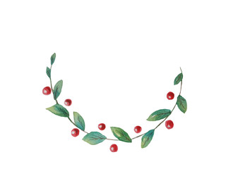  Contrast half round branch of red berries and green leaves