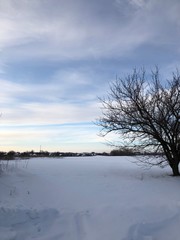 winter landscape 