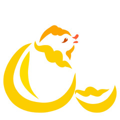 born chicken, hatched from egg, cute bird