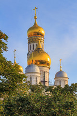 Fototapeta na wymiar Cathedral of the Archangel and Ivan the Great Bell-Tower on Moscow Kremlin territory on a blue sky and green trees background in sunny morning
