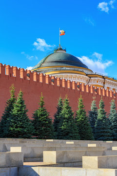 View of Kremlin wall and green spruces against dome of Senatskiy Dvorets with Russian flag in sunny day on a background of blue sky with white clouds