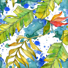 Tropical floral botanical flowers. Watercolor background illustration set. Seamless background pattern.