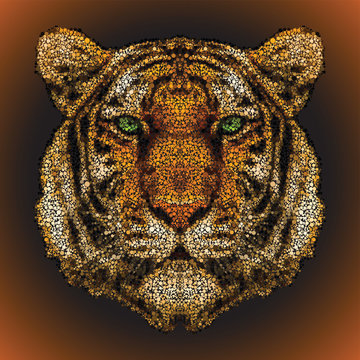 Tiger face dots