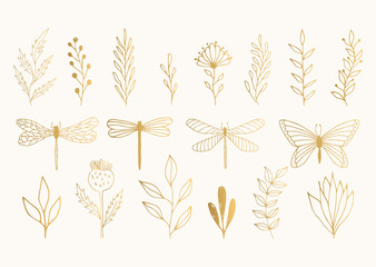 Set of golden herbs, dragonflies and butterfly. Vector summer illustration. Isolated. Hand drawn ink texture. - obrazy, fototapety, plakaty