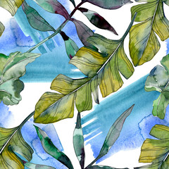 Green leaf. Exotic tropical hawaiian summer. Watercolor background illustration set. Seamless background pattern.
