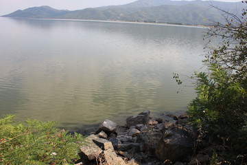 Lake of Kerkini Serres Greece Europe