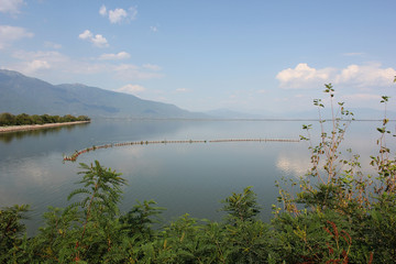 Lake of Kerkini Serres Greece Europe